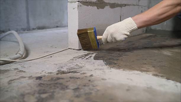 SJ Waterproofing Pros Emergency Waterproofing coverage map for Owosso, MI and surrounding area